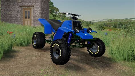 quads mods